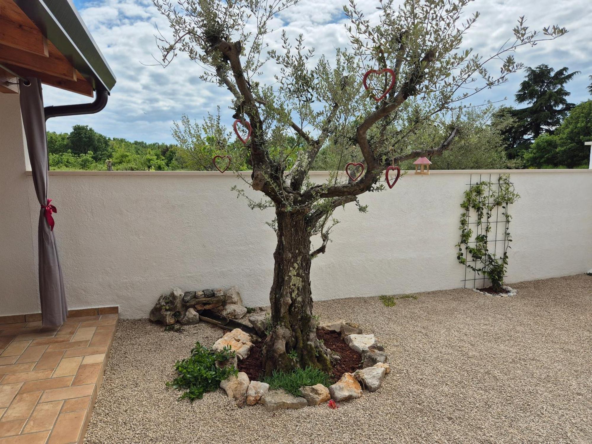 Apartment Vinja Porec - Privat Garden - Whirlpool Eksteriør bilde