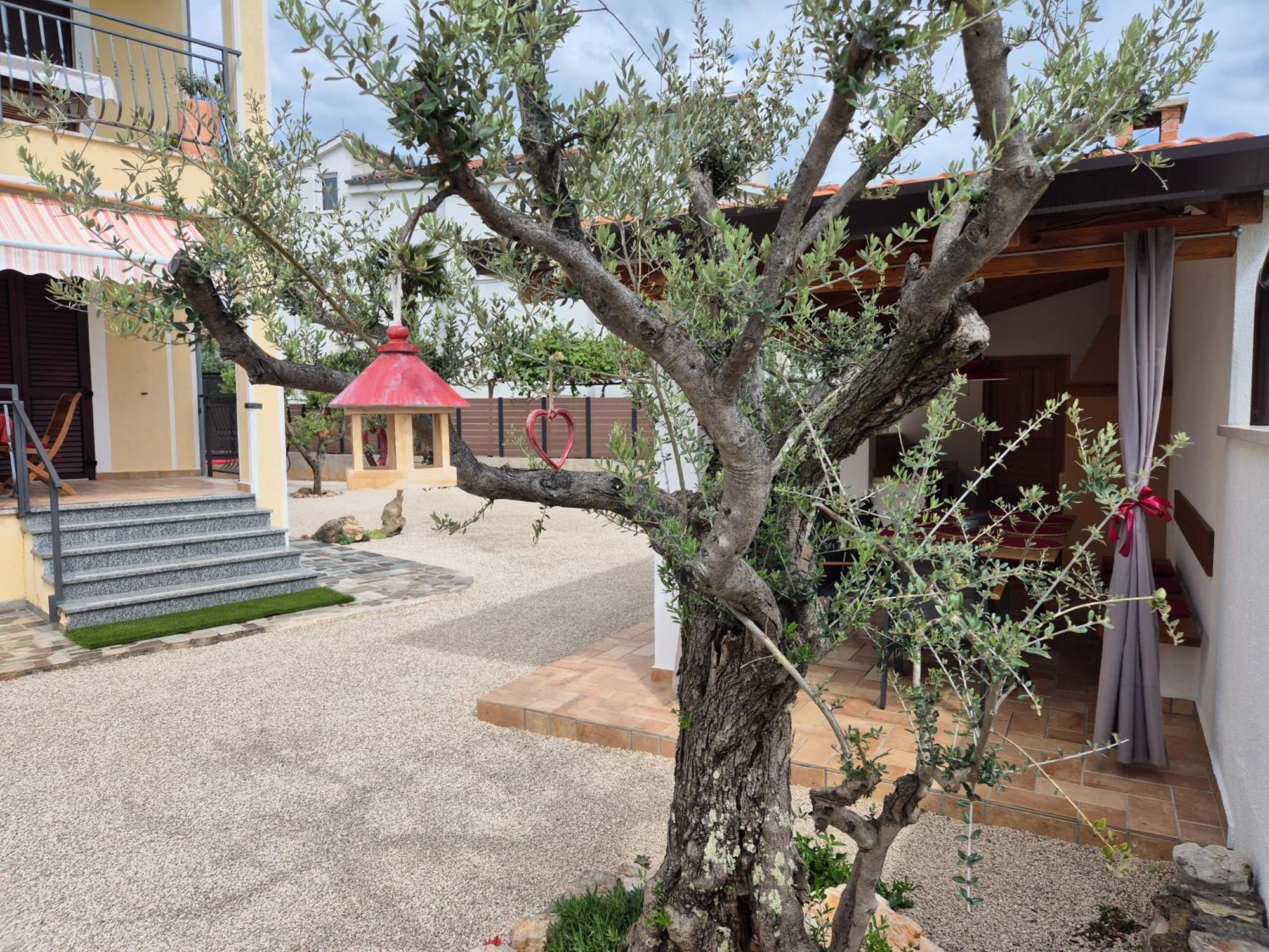 Apartment Vinja Porec - Privat Garden - Whirlpool Eksteriør bilde