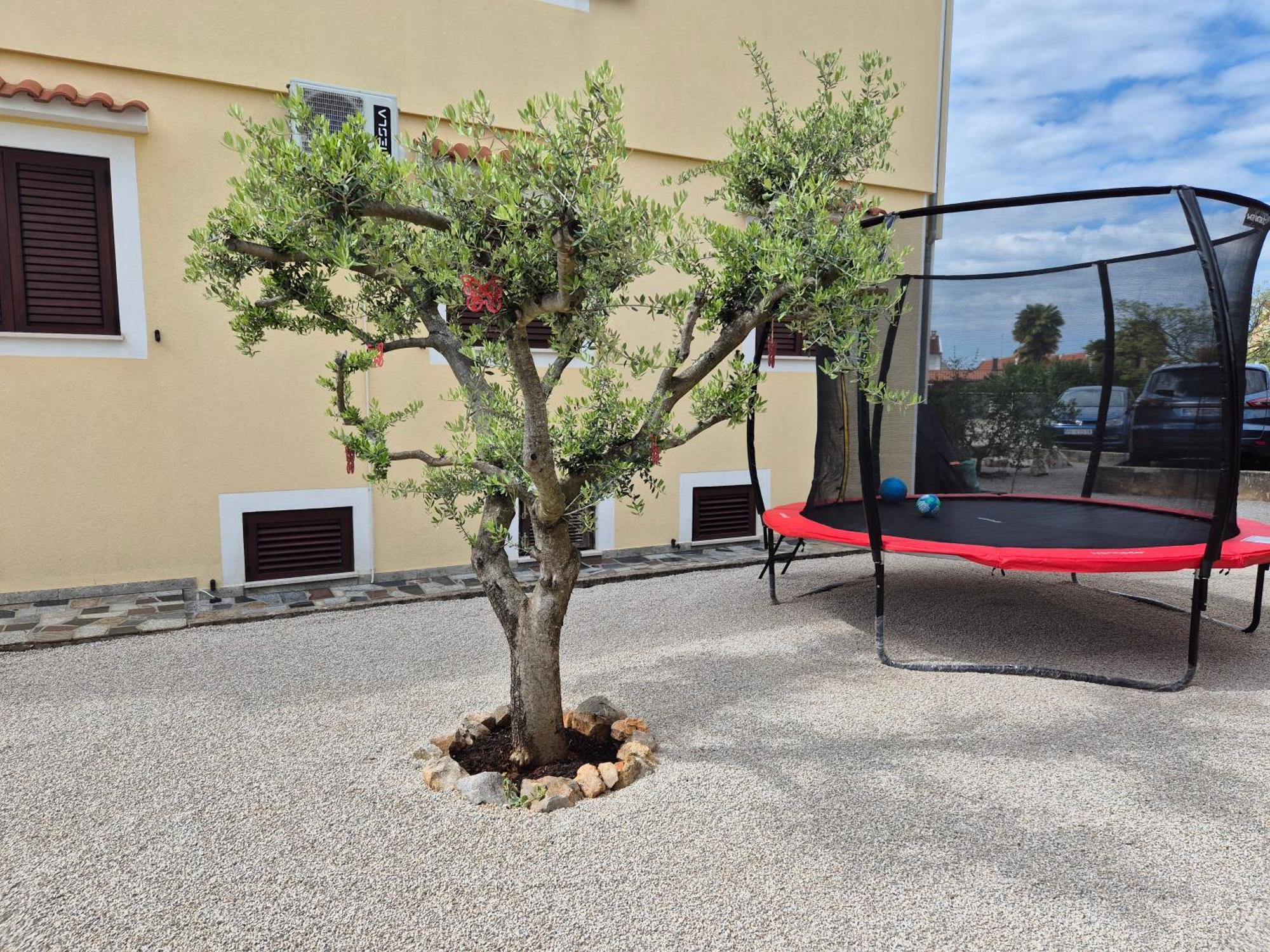 Apartment Vinja Porec - Privat Garden - Whirlpool Eksteriør bilde